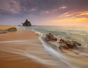 火箭新秀表现抢眼,备受关注