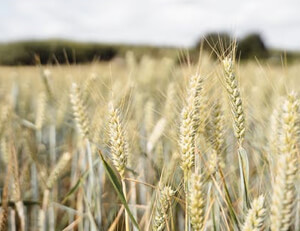 皇家馬德里受挫,晉級之路險象環生