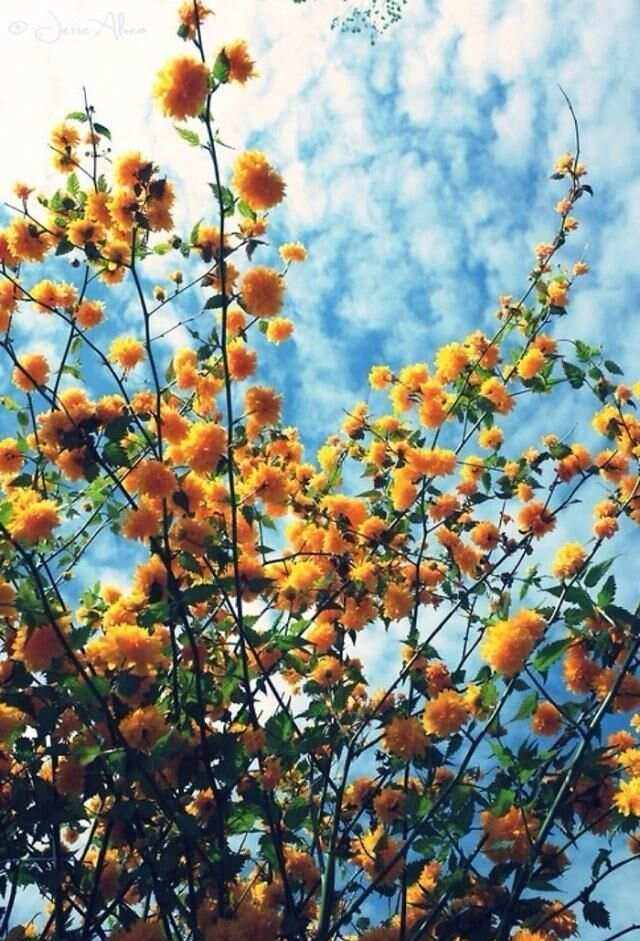 关于活着的意义，在球场上征战的信息