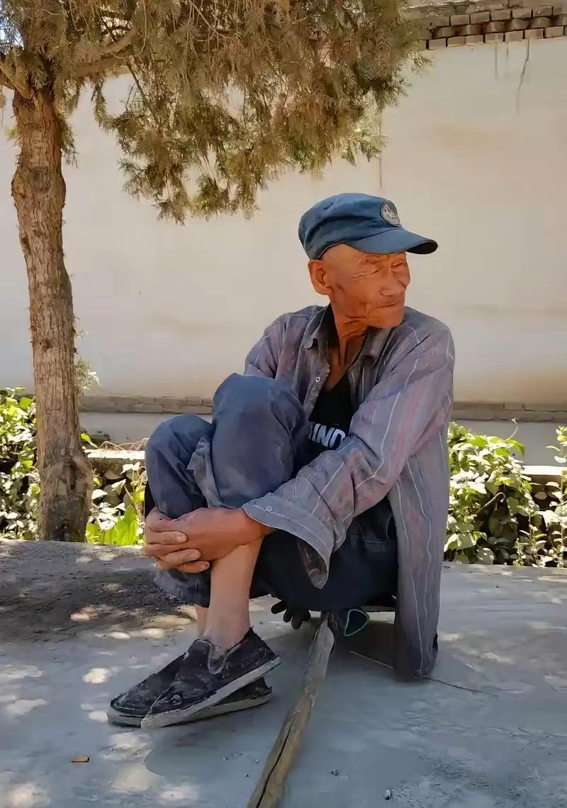 星空体育网页版登录入口-荷兰名将受伤更新：范夫勇敢面对挑战的简单介绍